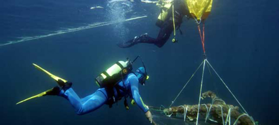 Sea of Marmara Underwater Discoveries